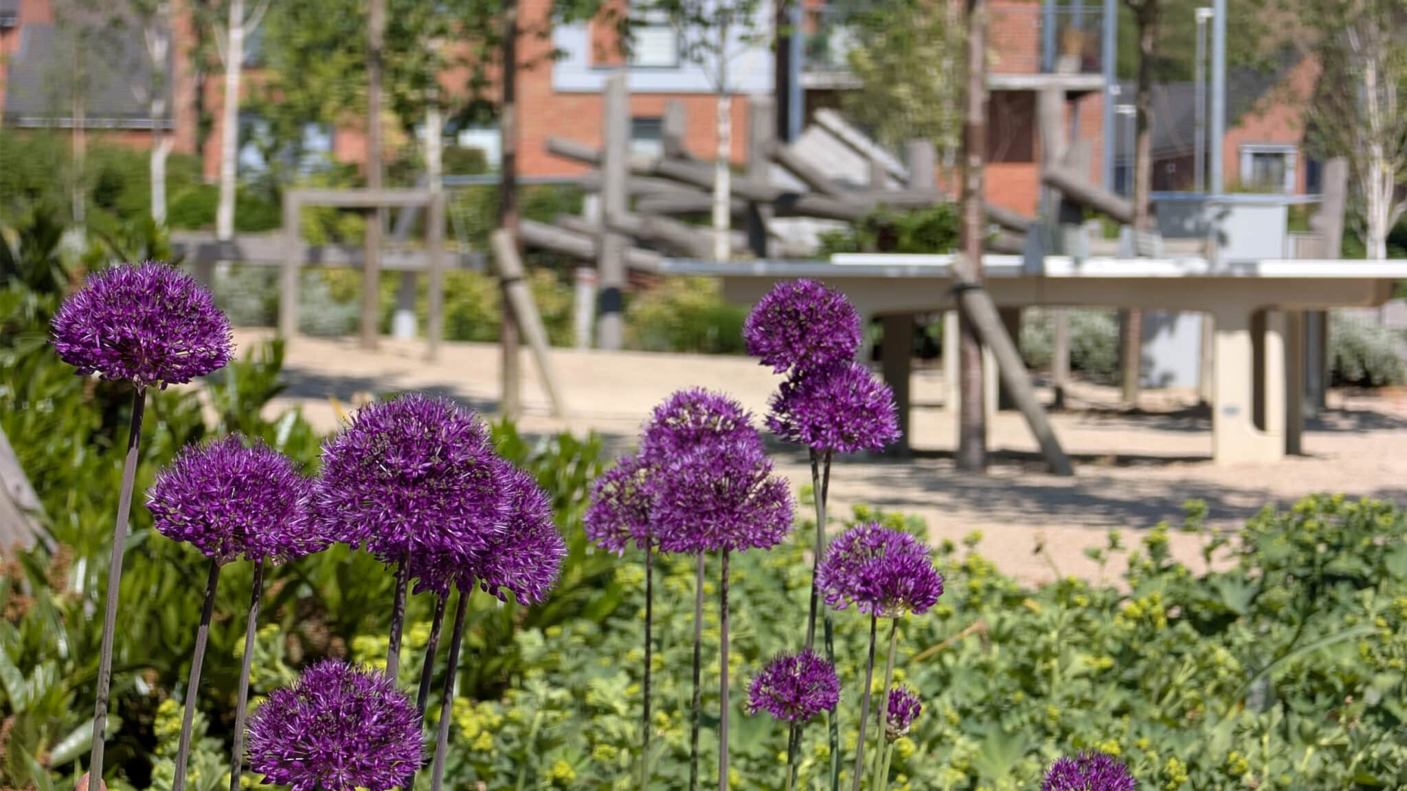 Landscape Architecture
